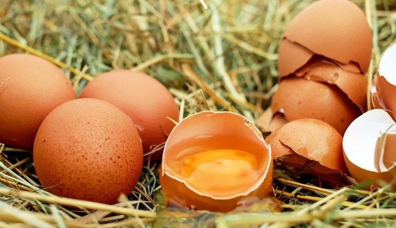 Un estudo sobre o consumo diario de ovos sinala que non aumentan o índice de colesterol.