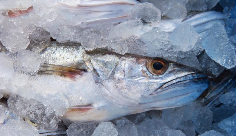 Entre os beneficios da pescada se atopan: un bo sabor e textura, alto contido nutricional e baixa pegada de carbono.
