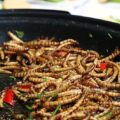 Os vermes da fariña poden prepararse de distintas formas. Por exemplo, salteándoos con verduras. Foto: Wikimedia Commons